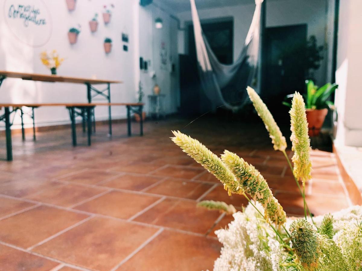 Maria Magdalena - Room 3 Малага Экстерьер фото
